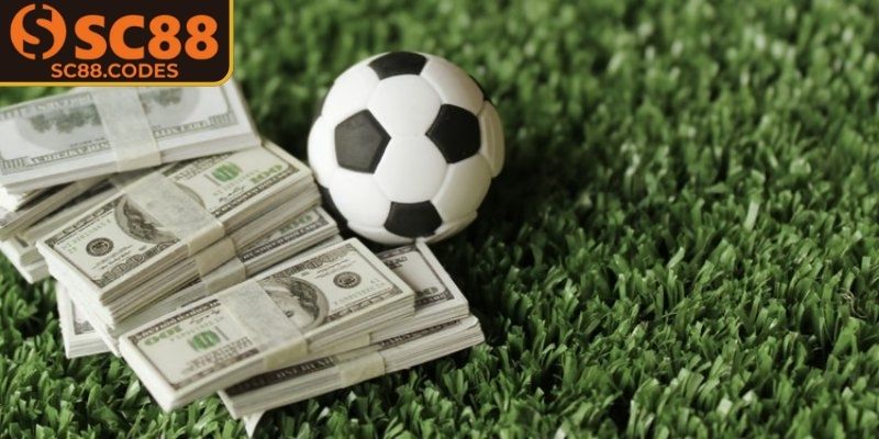 Cân nhắc giữa ngân sách với rủi ro