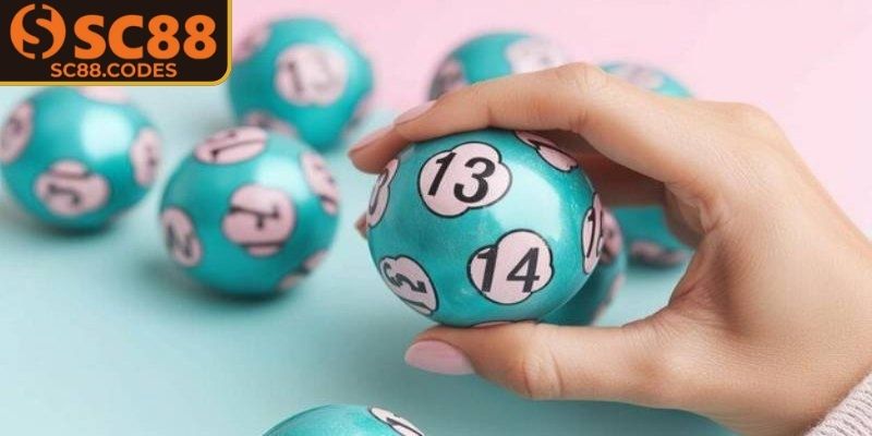 Tham khảo soi nhanh qua chu kỳ tổng