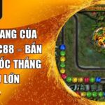 Vinh Quang Của Zumas SC88